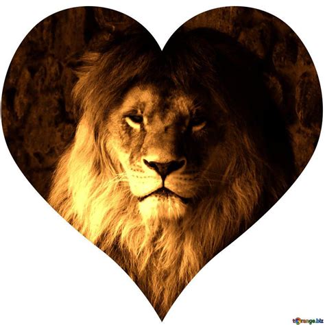 'Lion': A Heart.